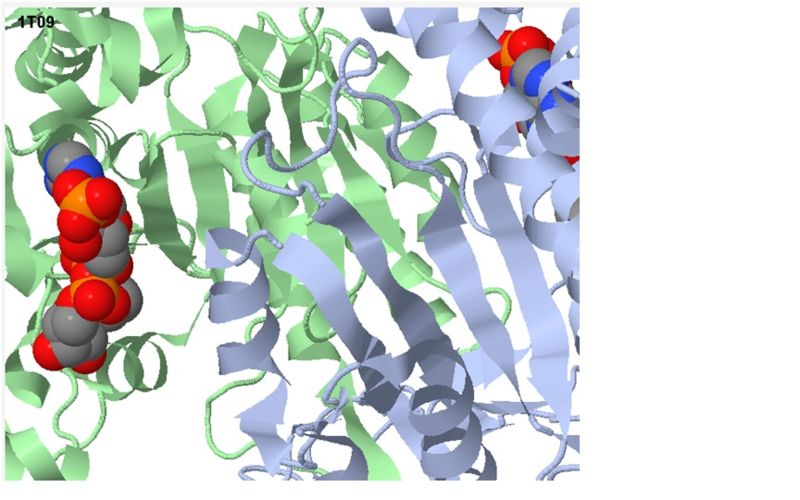 Image:Active site isocitrate.jpg