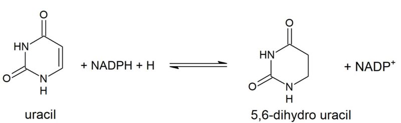 Image:Uracil reduction.jpg
