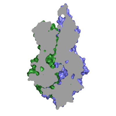 Figure 1 The coolest image of this protein!!!