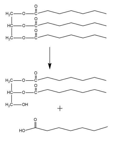 Figure 1. A surface representation of LPL complexed with GPIHBP1