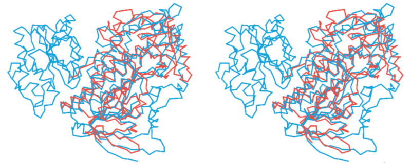 Image:PHENOL HYDROXYLASE stra.png