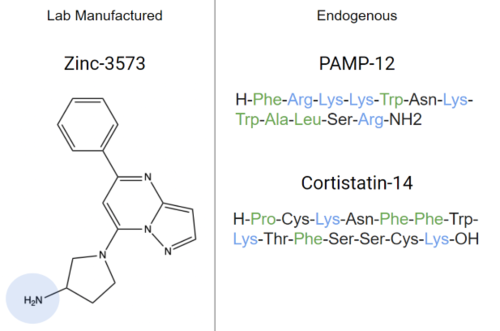 Figure 7. Agonists of MRGPRX2 due to their structural similarities to known ligands. Positive regions shown in blue and hydrophobic regions in green. Cortistatin-14, PAMP-12, and Zinc-3573 are all known to bind to MRGPRX2 with high affinity, and inhibit mast cell degranulation