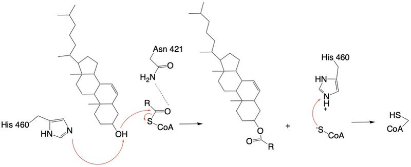 Image:Concise mechanism.jpg
