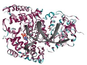 QM1 structure colored based on conservation. Cyan= least conserved, magenta= most conserved