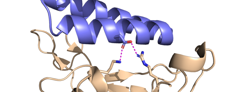 Image:D30image.png