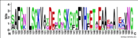 Figure 5:Conserved residues that potentially bind regulatory proteins and translation initiation factors.