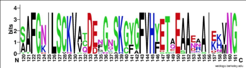 Image:Figure 4.png
