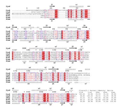 Structural and primary-sequence alignment of PxSDR with the closest structures identified by PDBeFold. Also shown is the percent identity matrix generated with Clustal2.1. The structures are PDB entry 5jc8 (the apo structure of PxSDR), PDB entry 1iy8 (the crystal structure of levodione reductase from Leifsonia aquatica), PDB entry 3ftp [3-ketoacyl-(acyl-carrier-protein) reductase from Burkholderia pseudomallei], PDB entry 6t6n [Klebsiella pneumoniae FabG2(NADH-dependent) in complex with NADH] and PDB entry 6ixm (ketone reductase ChKRED20 from the genome of Chryseobacterium). The secondary-structure elements shown are α-helices (α), 3310-helices (η), β-strands (β) and β-turns (TT). Identical residues are shown in white on a red background and conserved residues are shown in red. This figure was generated using ESPript (Gouet et al., 1999, 2003).