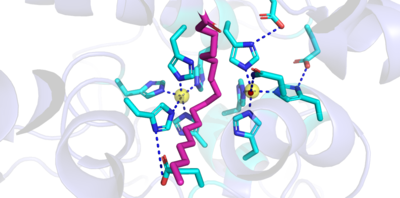 Figure 1: Active Site