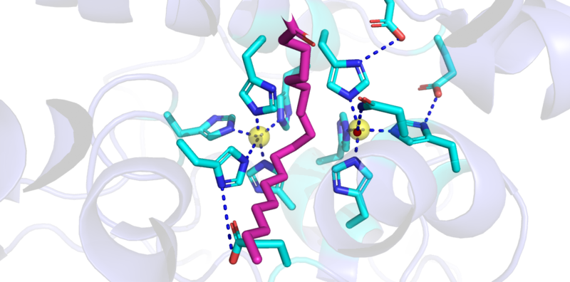 Image:Interactions take two.png