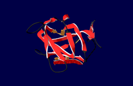 Secondary structure of C2 Domain of 1czv.