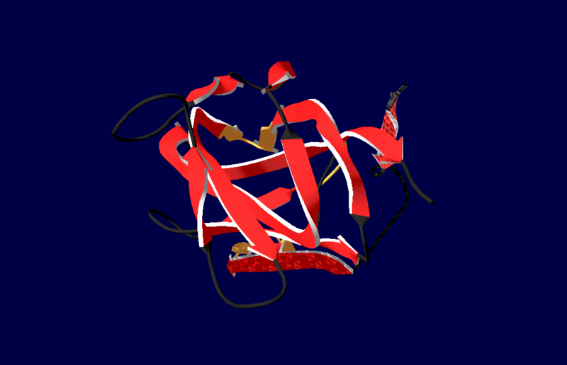 Image:3D Jellow B-Barrel Motif.png