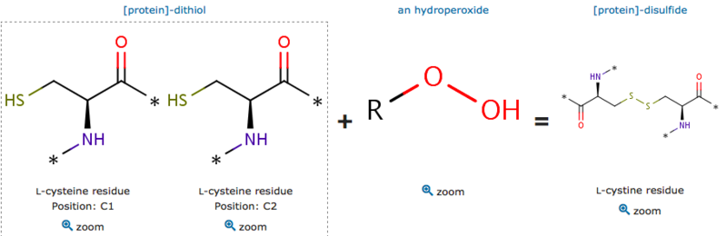 Image:Catalytic site reaction.png