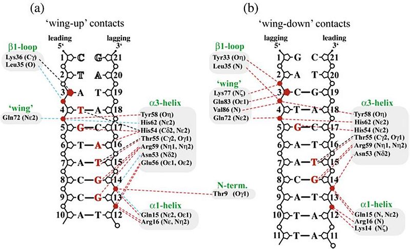 Image:Fig 4.2.jpg