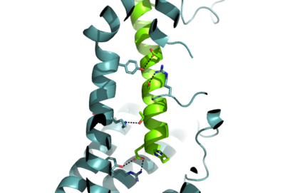Figure 1. The coolest image of this protein EVAH!!!