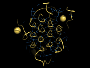 Figure 2. Rare Glycine helices on Anaplastic Lymphoma Kinase