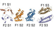 Subdomains of F1 and F2