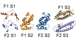 Subdomains of F1 and F2