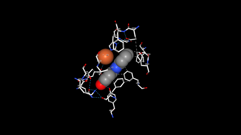 Image:NSL ligand.png