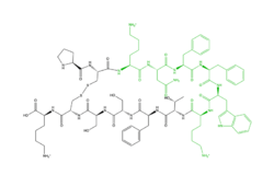 Figure 4: Structure of Cortistatin-14 with resolved amino acids highlighted in green.