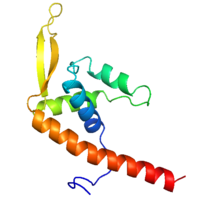 Diagram of RTP monomer with secondary structure highlighted.