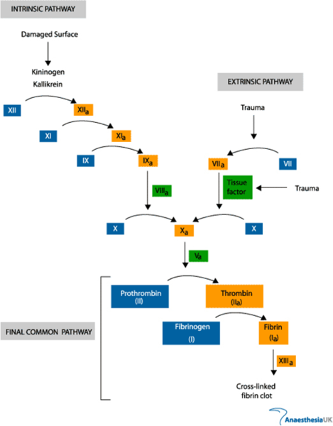 Image:Cascade.jpg.png