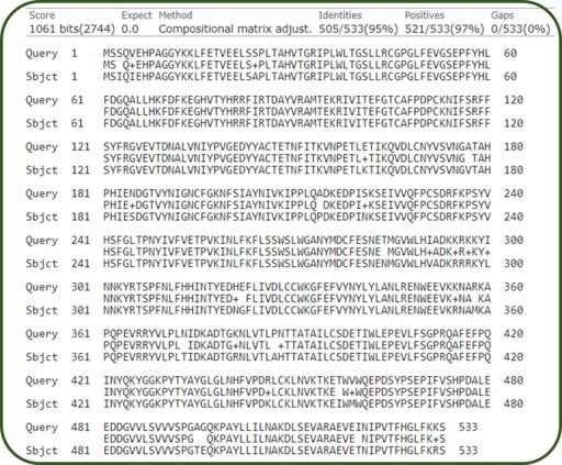 Figure 7A: Sequence alignment between bovine RPE65 and hamster RPE65 showing highly conserved amino acid residue between organisms. Figure generated using BLAST