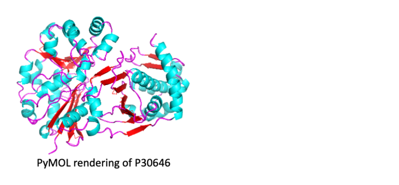 Image:StructureProtein.png