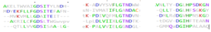 Conserved sequences of note between 4Q7Q and Esterases. .