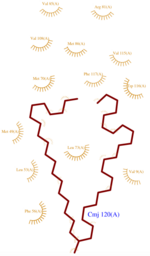 Fig.1 CMJ Ligplot