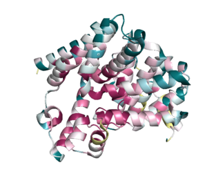 ConSurfDB analysis of chain A, TbPDEB1. Residues are colour-coded from least (cyan) to most conserved (maroon) residues