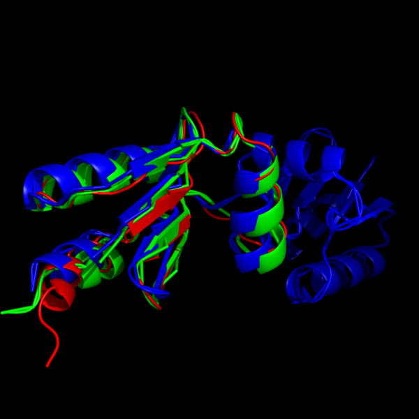 Image:Image-Super imposed molecules.png