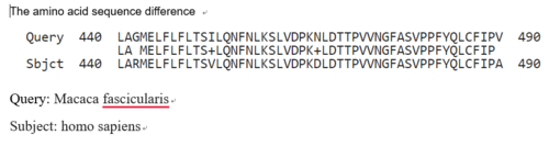 Figure 9. Sequence alignment of Human cytochrome P450 and Macaca fascicularis