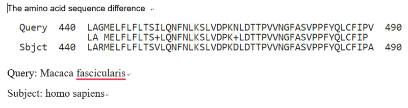 Image:Sequence alignment12.png