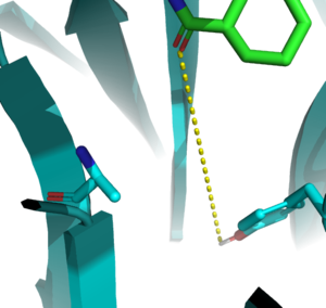 Figure 1: Y134 key interaction with ligand
