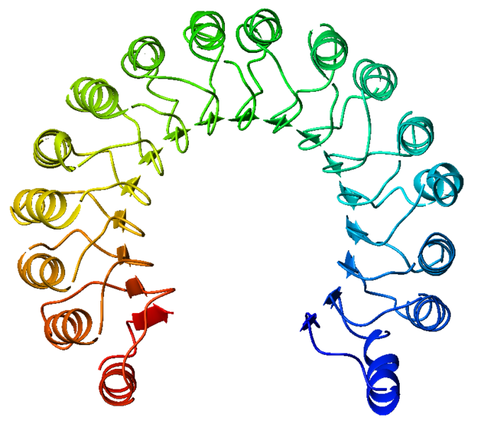 Image:Kroupa Ribonuclease inhibitor.png