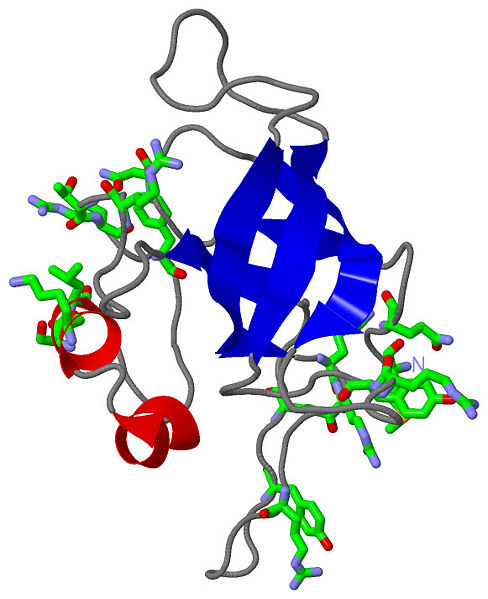 Image:L14structure.jpg