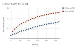 Figure 1: Lipase Assay Result. 3H04 was tested with two different concentrations of pNPB to test how the concentration altered the rate of the reaction.