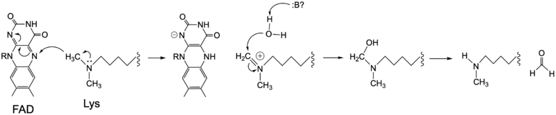 Image:LSD 1 Chemdraw Real.png