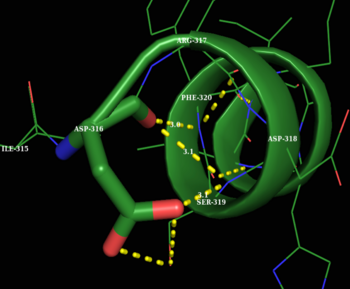Capping Residue, Asp316 is acting as a capping residue at the N-terminus of helix F in PKG-Ia (PDB 3SHR). The oxygen of Asp316 (N cap) main chain is hydrogen bonding with the backbone nitrogen of Ser319 (N3) and the backbone of Phe320 (N4) with bond distances of 3.1Å and 3.0Å respectively. According to Seale and colleagues, this N-capping motif is called a capping box. The cap is generally inaccessible to solvent. N’ (Ile315) and N4 (Phe320) residues are usually hydrophobic. N1 (Arg317) and N2 (Asp318) side chains are exposed to solvent. If N2 is an Asp, it will make an additional hydrogen bond to the side chain of the cap; this bond measures 3.1Å. (PDB 3SHR)