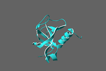 Secondary structures of YdcE