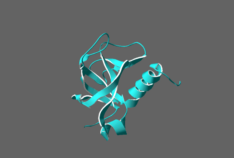 Image:Secondary structures.jpg