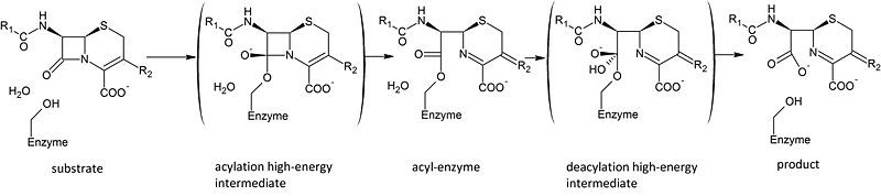 Image:Beta lactamase mechaism.jpg