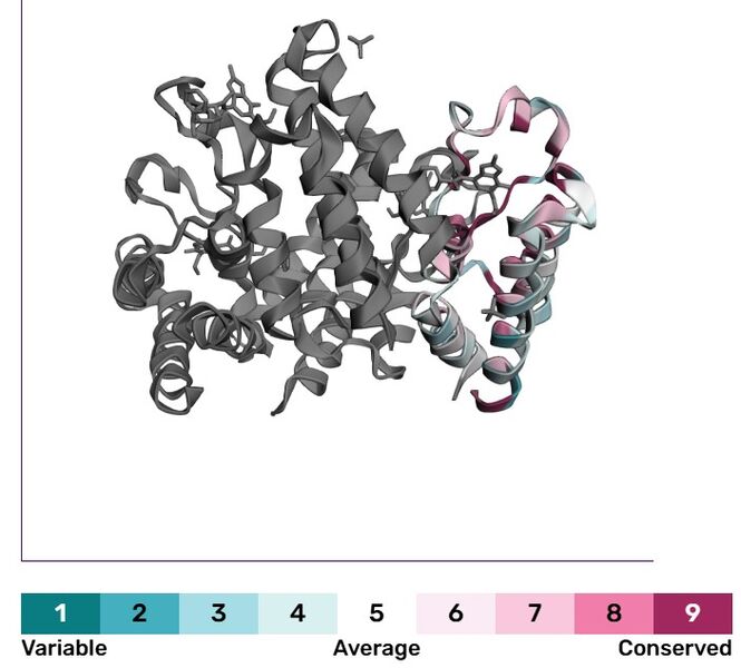 Image:Conserved cecr2.jpg