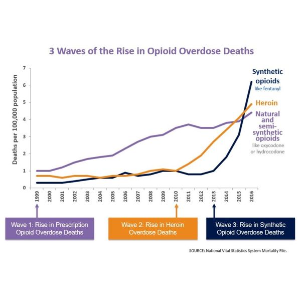 Image:OpioidFatality1.JPG