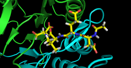 Inhibitor DEVD-CHO bound to Caspase-3, 1PAU