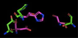 Figure 3: Alignment of 4Q7Q's putative catalytic triad (shown in green) and 1TAH's catalytic triad (shown in pink). The RMS is 2.205.