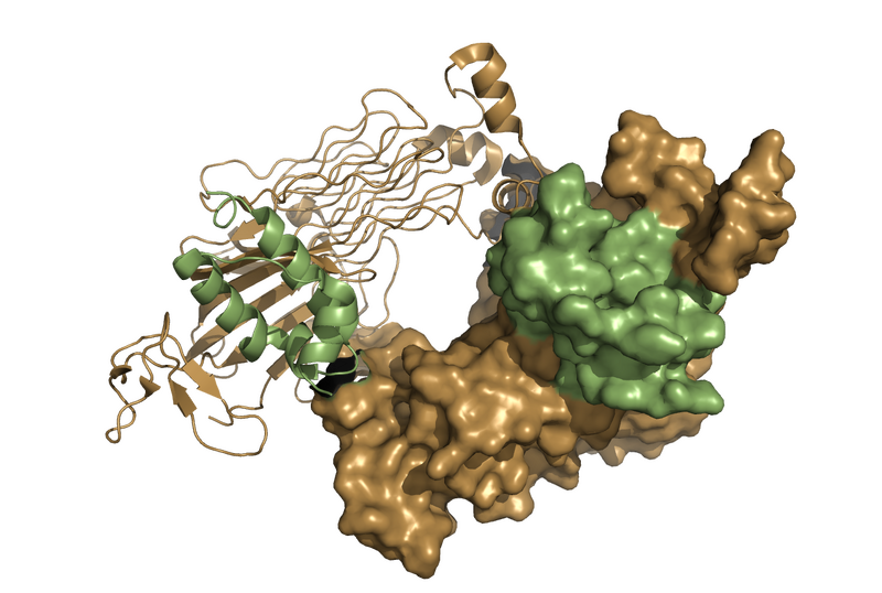 Image:Full ALK Structure.png