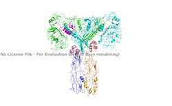 Figure 3. An image of the active insulin receptor showing both the alpha and beta subunits and insulin bound to the four binding sites. The dimers of the alpha subunit are colored in light blue and green. The intracellular beta sites are colored in blue and orange. The insulin binding sites with insulin bound are colored in magenta, light pink, yellow, and red. PDB: 6SOF.