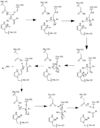 active site mechanism